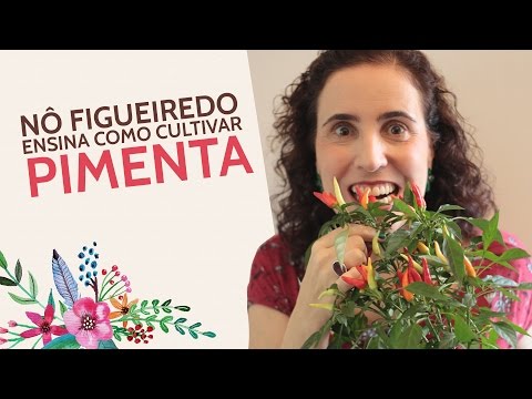, title : 'Nô Figueiredo Ensina Como Cultivar Pimenta'