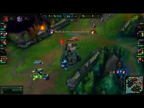 Zed play vs brand