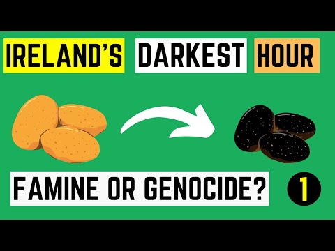 The Great Famine 1845-52 - How Was It So Bad?