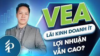 VEA: Gián tiếp nắm giữ 50% thị phần tiêu thụ ôtô tại VN – Lợi nhuận vượt kì vọng nhờ liên doanh
