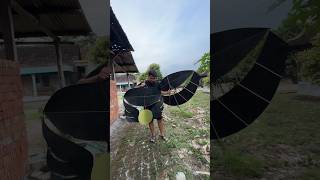 Download lagu Chasing a Broken Kite by Ram Raman #kite #gapangan #ramraman #brokenkites #chasingbrokenkites mp3