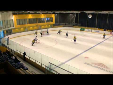 Björninn vs Lukko_hits