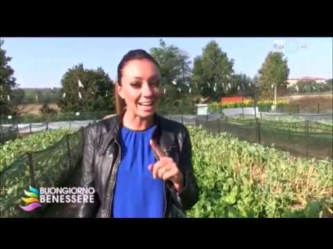 Donatella Veroni RAI 1 bava di lumaca