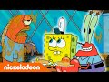 SpongeBob | Meneer Krabs en het nieuwe menu | Nickelodeon Nederlands