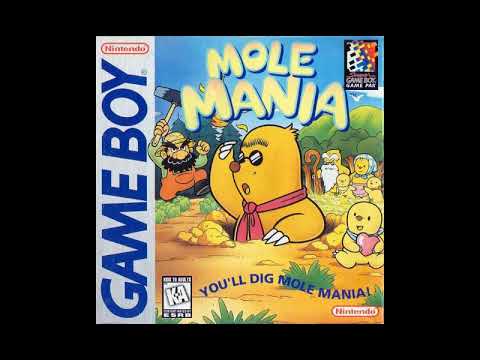 Sound Test Unlocked! Best VGM 604 - Beach (Mole Mania)