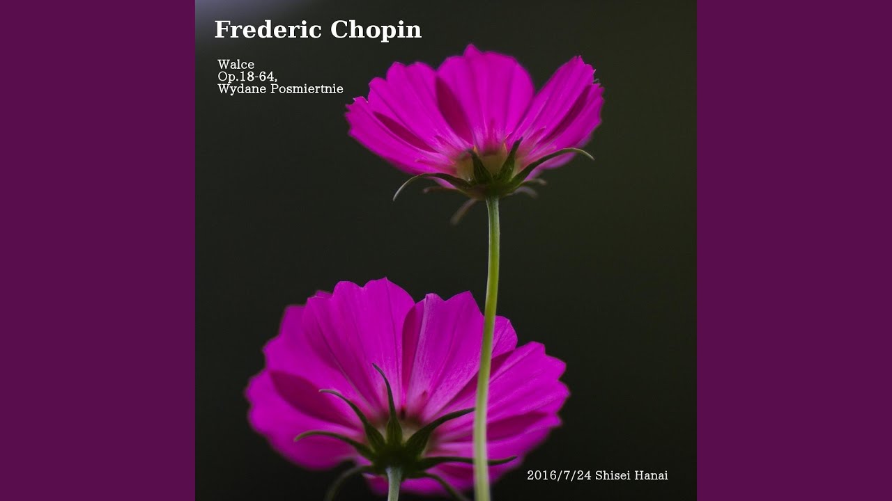 Chopin Waltz in A Minor, WN 63: Allegretto