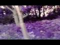 GOLDFRAPP - CLOWNS