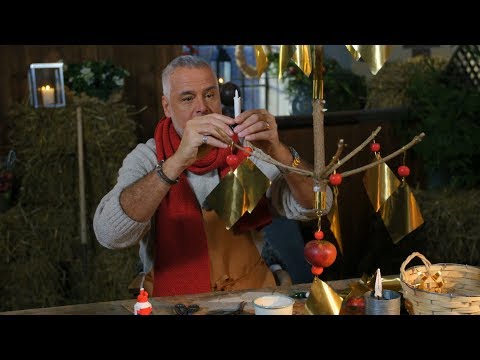 "Den här granen ska få en helt ny karriär"  - Jul med Ernst (TV4)