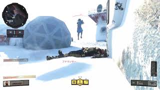 【BO4】久しぶりに爽快感を！飽きたら終わり