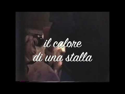 L'ultima stalla viva al Serre di Crissolo, inverno 1994. Immagini di Davide Giordano.