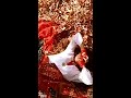 Pachai Nirame Full View Alaipayuthe Madhu EDiTs