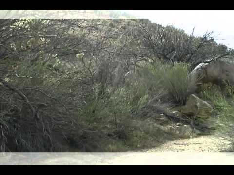 000 W Signal Road, Wikieup, AZ 85360