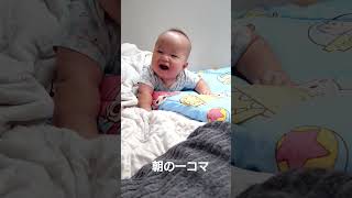 朝はお兄ちゃん達が構ってくれてる😀