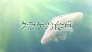 Download Kurage no Shokudou - AniDLAnime Trailer/PV Online