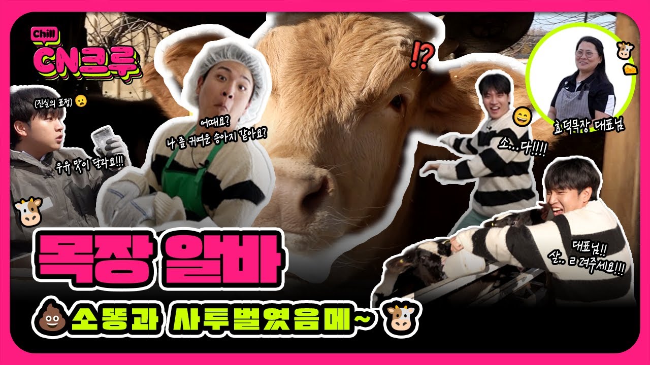 ☕️커피... 아니고, 소똥 나왔습니다🐄 💩 목장 알바 | CN크루 19화