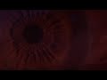 Ennio Morricone - Placcaggio (Original Single Version) - The Cat o' Nine Tails - Vector Spector Ennio Morricone - Placcaggio (Original Single Version) - The Cat o' Nine Tails