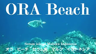 preview picture of video 'Ora Beach HD (Seram Island Maluku Indonesia)01'