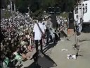 Que Tal video