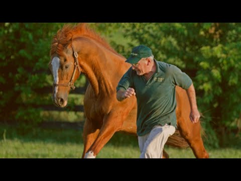 🏇🌹 Biggest Triumph-Michael Blowen-Old Friends Farm 🏇🌹