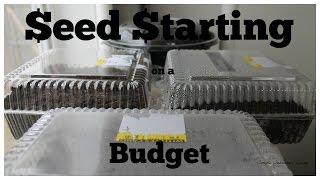 Starting Seeds on a Budget - Stop buying gardening supplies this year
