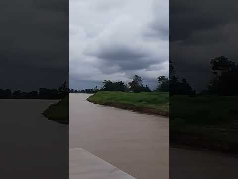 AUTAZES AMAZONAS TERRA DO LEITE E DO POTÁSSIO