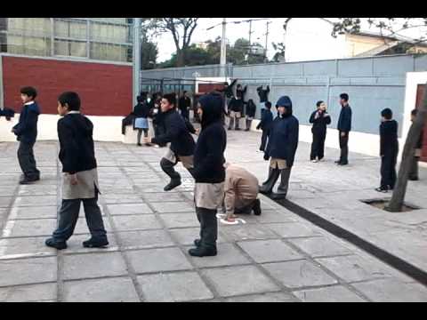 Tiburon la bengansa de los puto