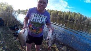 Ловля леща на канале им москвы жостово