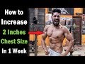 How to Get a Bigger Chest | Workout & Tips