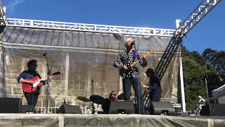 ROBYN HITCHCOCK - “Acid Bird” 10/7/18