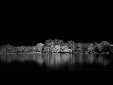 Darktable Episode 48: black and white conversion part 1