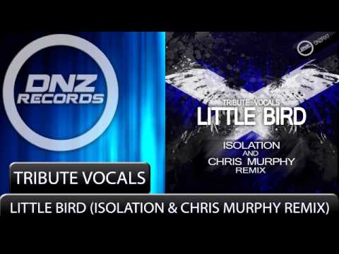 DNZF017 // TRIBUTE VOCALS - LITTLE BIRD ISOLATION & CHRIS MURPHY REMIX (Official Video DNZ RECORDS)