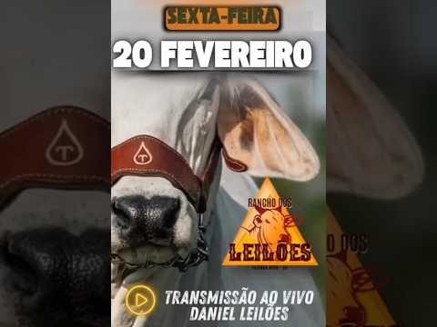 Fazenda Nova - GO   20/02/2026