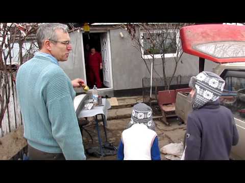 GIURGENI 43 REVELION NEW YEARS EVE (HD)