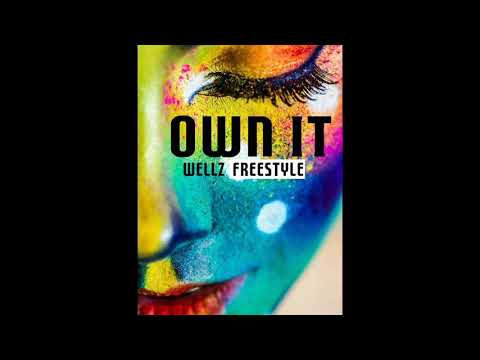 WellZ   Own it  Freestyle