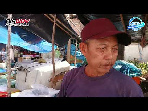 Nataru 2025 Harga Ikan di Lubuk Linggau 30 Ribu Per Kg