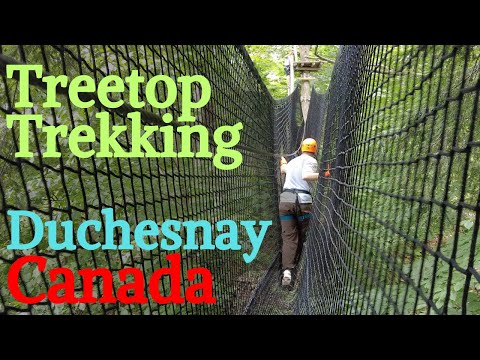 Amazing Treetop Trekking - Accrobranche | Arbraska Duchesnay Québec Canada 4K