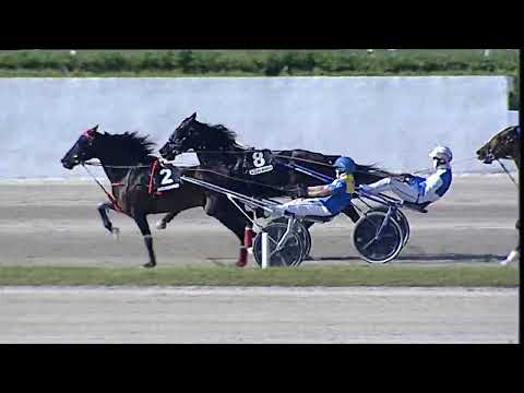 Napoli Trotto 21/04/2023 - 6ª corsa