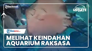 Melihat Keindahan Aquarium Raksasa di Sea World Ancol, Tempat Wisata Populer di Jakarta