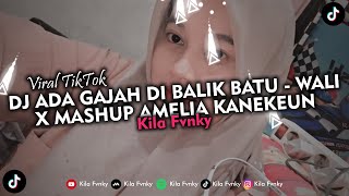Download lagu DJ ADA GAJAH DI BALIK BATU (BOOTLEG) X MASHUP AMELIA VIRAL TIKTOK 2023 mp3 Download lagu DJ ADA GAJAH DI BALIK BATU (BOOTLEG) X MASHUP AMELIA VIRAL TIKTOK 2023 mp3