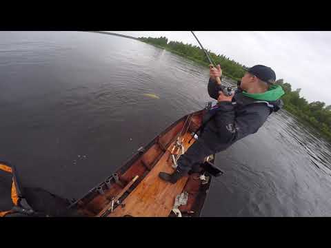 Tornionjoki 2021,lohi6