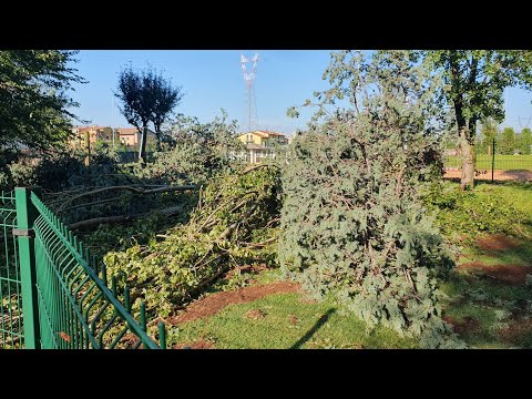 GRAVI DANNI CAUSATI DAL TEMPORALE DEL 30-07-2023 A VERONA (la mattina seguente)