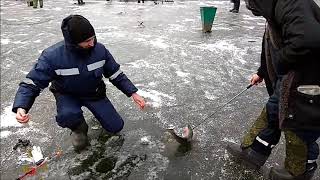Зимняя рыбалка лосиный остров
