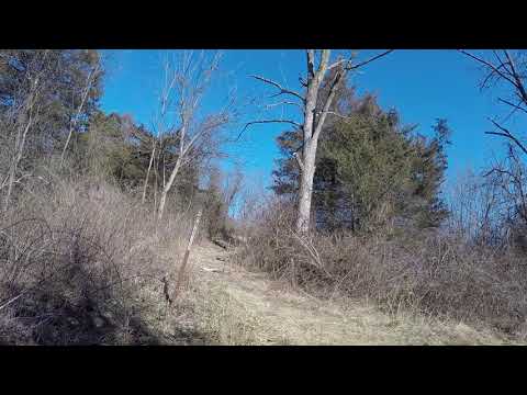 01/30/2021 - Blue Marsh Lake - Side Trail Leading from Multipurpose Trail to Zerbe Drive
