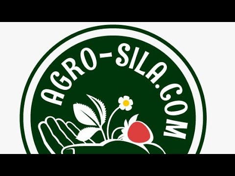 Агродар Удобрение Купить