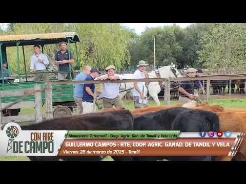 Guillermo Campos - Remate de Monasterio Tattersall y la Coop. Agric. Gan. de Tandil y Vela - 28/3/25