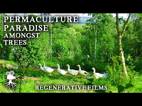 Beautiful 8 Acre Permaculture Farm Combines Trees, Livestock, and a Productive CSA Market Garden