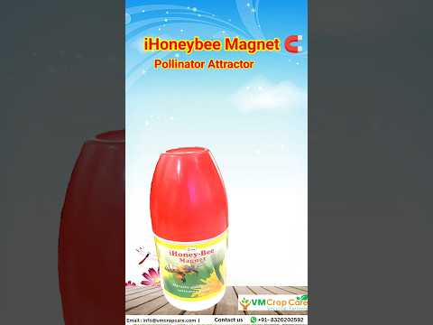 Honey Bee Attractant