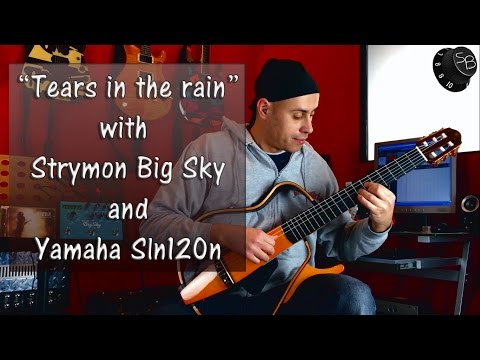 TEARS IN THE RAIN WITH YAMAHA SLN120NW AND STRYMON BIG SKY