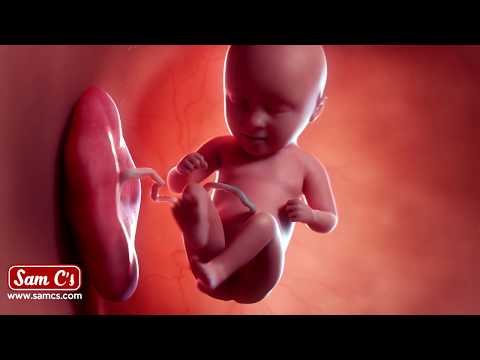 What does my baby look like at 29 weeks pregnant? - Pregnancy Week By Week