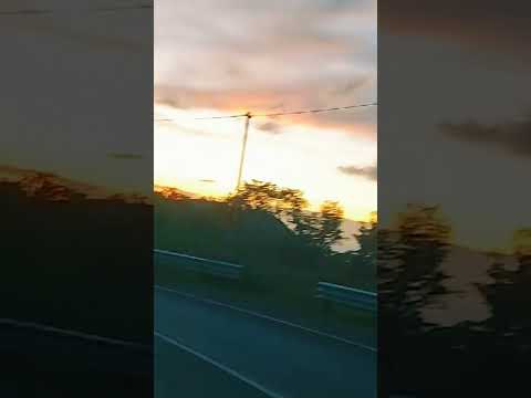 FOU ORG #reels #short #pov #moments